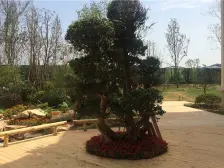 诚心出售 龙洲湾商圈 次新小区