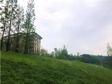 龙湖品质,户型方正,诚心出售,视野朝向都好