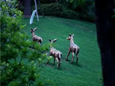 蓝光物业+清水4室+采光好+一线看江+住家安静