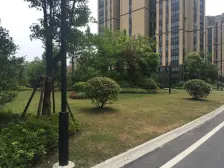 房子精装修,拎包入住,采光很好