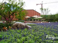 创新洋墅,带花园,跃层,赠送地下室