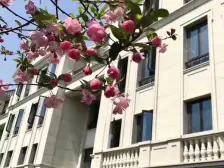 人车分流,外墙干挂大理石,干净整洁,环境优美