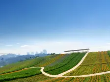 璧山街道 中铁任之健康城康悦府二房80万