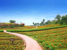 智能品质小区、环境优美、适合老年人居住