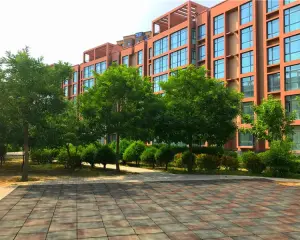 碧龙江畔 电梯房 精装修 可以按揭