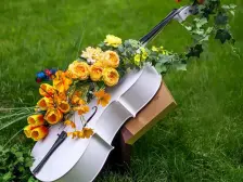 得房率88%!低密度洋房!不临马路,高标精装,诚意卖