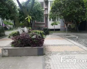 禹苑 3室1厅 东南