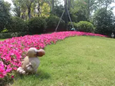 永丰乐城阳光里一梯两户电梯洋房 中间楼层