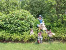 公园里朝南大三房,业主诚心出售,看房子随时。