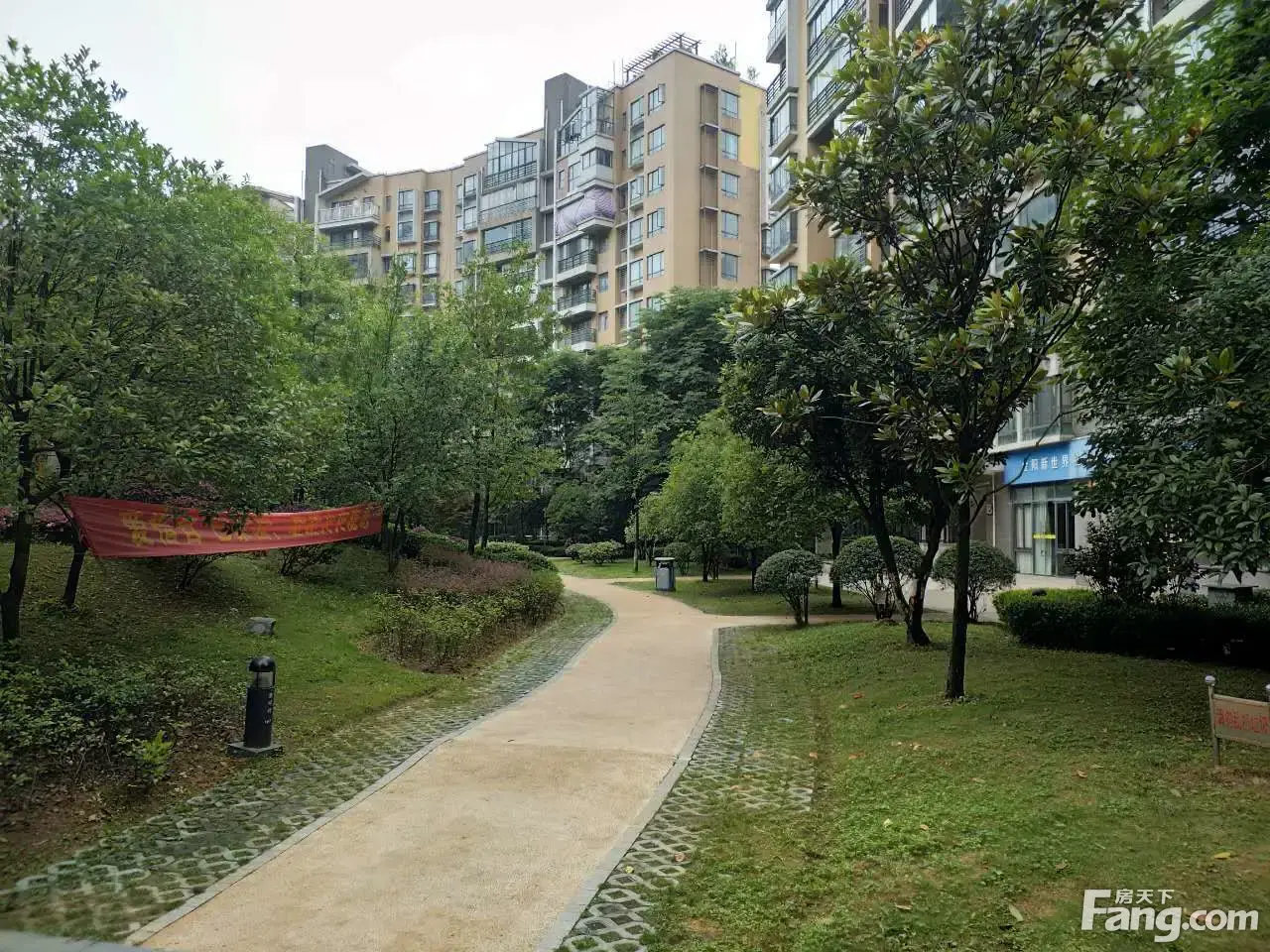 "设若"的拼音是什么?