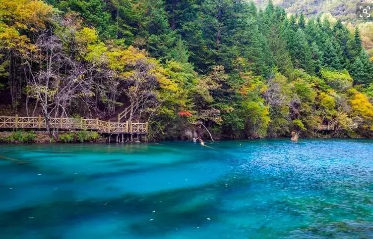 这是东北9月份最美的景点,到了才知道果然不一样