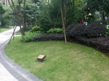 汽博中心 奥林匹克花园十期(御锦一期)四房203万