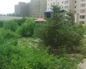 青洲豪庭3室1厅南北