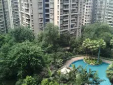 观音桥北滨路看中庭品质四房 业主住家装修 随时看房