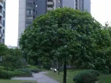 轻轨环线站旁 业主诚心卖 看房提前联系 出行方便