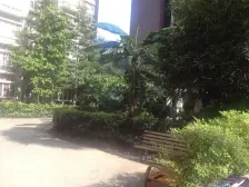 东海星洲 2室1厅 南