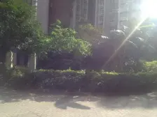 弹子石 东海星洲四房85万