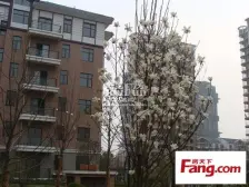 红谷滩繁华地段 小区门口 地铁1号和2号交汇处