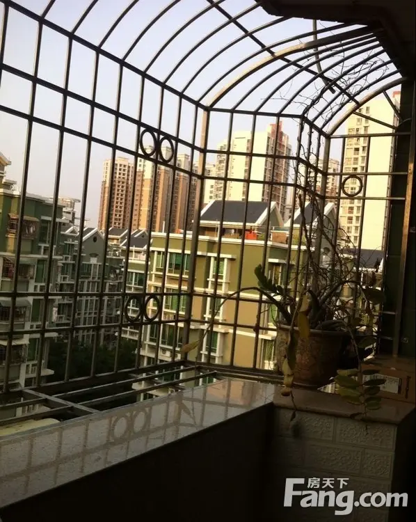 实景图