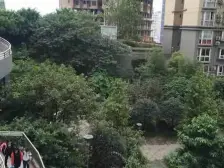 大坪肖家湾住家小户型,户型方正,业主安心出售