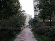 离轻轨站300米的距离,户型方正采光充足