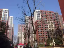 万科开发,万科物业,边套三房,可利用空间大