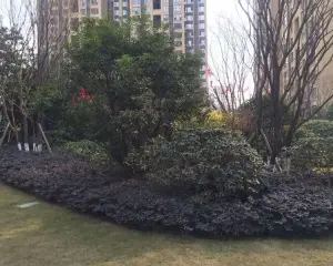 保利百合花园 4室1厅 东