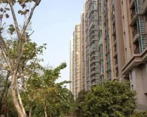 上美小区 4室2厅 南 北