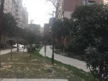 碧沙岗地铁口 建业国际密码双气 标准的一室一厅