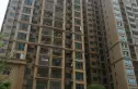 东方之珠花园实景图