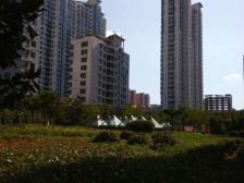 杏坛中心城 3室2厅 南