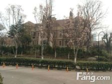 凤凰城 4室 边户 好楼层 好户型 价格可以谈 灯光秀