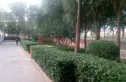 太印第二小区实景图