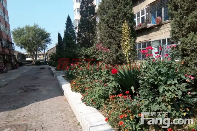 铁路小区实景图