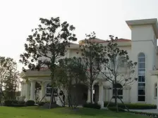 东紫园一期南临大河宅邸,集中朝南大花园大户型低总价