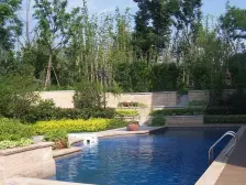 佘山东紫园 5室2厅 东南