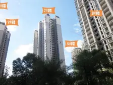 云星钱隆首府B组团 1室1厅 南