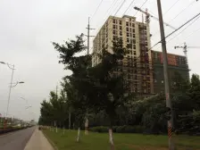 嘉隆国际广场 3室2厅 北