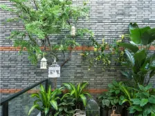 满五仅有一套,近川沙迪士尼三室两厅两卫纯毛坯