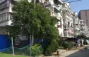 秦岗小区实景图