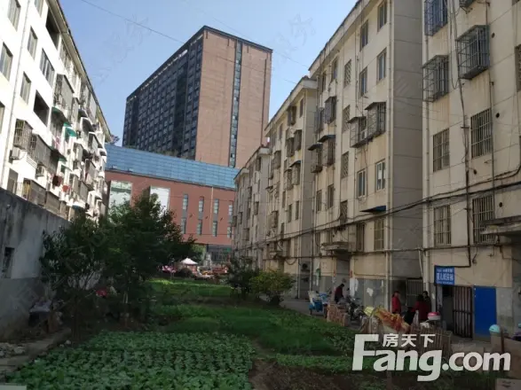 秦岗小区实景图