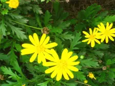 绿城物业位置好近御临河公园 人晓楠开