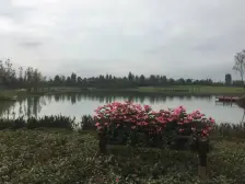 保利碧湖苑 5室3厅 东北