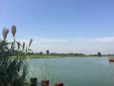 保利观湖叁 5室2厅 东南