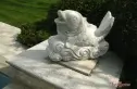 东郊壹号实景图