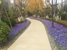 四季上东精装洋房全天无遮挡全明户型