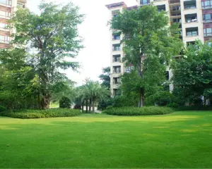 天府欧城 3室2厅 东 北