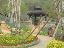 联排别墅中间户 前排视野 格局好带电梯井