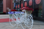 商业街装饰自行车实景图