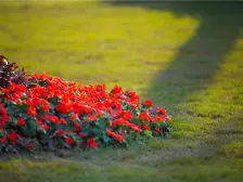 143平双拼边位别墅,3面采光,土建做好,看江别墅